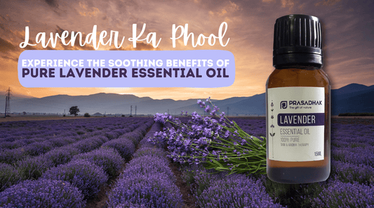 Lavender Ka Phool - pure lavender essential oil benefits, Prasadhak