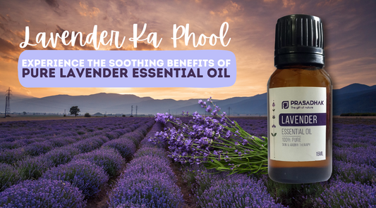 Lavender Ka Phool - Experience the Soothing Benefits of Pure Lavender Essential Oil