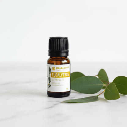 Eucalyptus Botanical