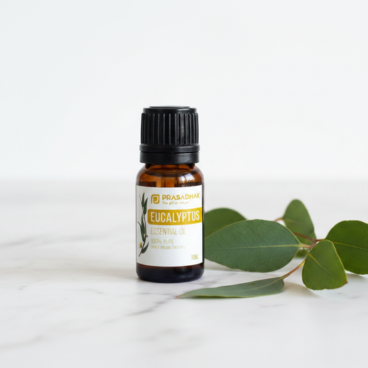 Eucalyptus Botanical