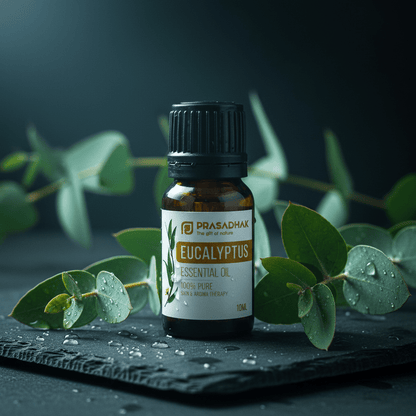 Prasadhak Eucalyptus Essential Oil on dark slate with eucalyptus branches and water droplets - moody luxury editorial