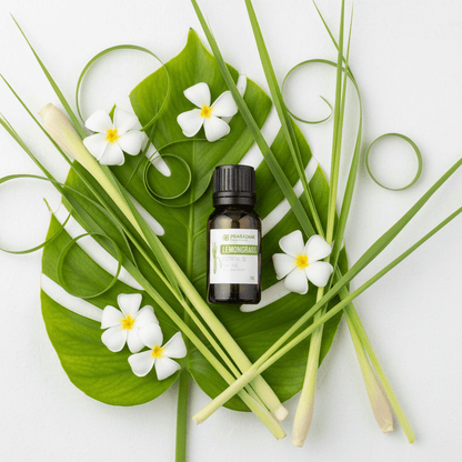 A small amber glass bottle of Prasadhak Lemongrass essential oil with a black cap and white label, styled in a flat lay on a white background with a large green leaf, fresh lemongrass stems, and white plumeria flowers.