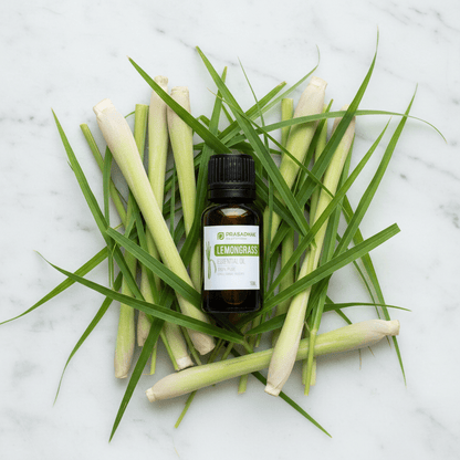 Lemongrass flat-lay marble